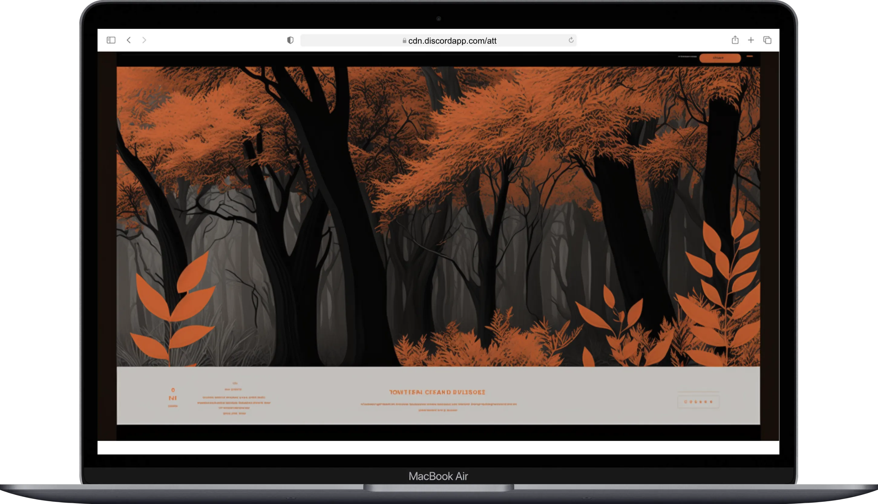 Webdesign Beispiel