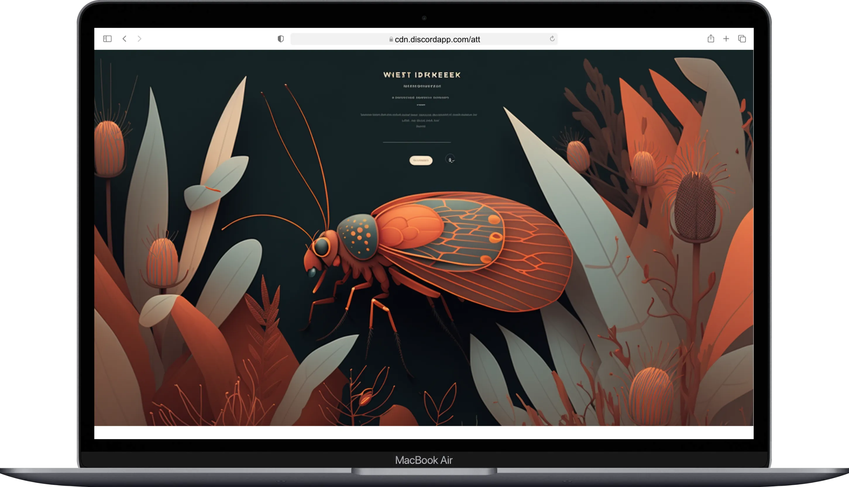 Webdesign Beispiel